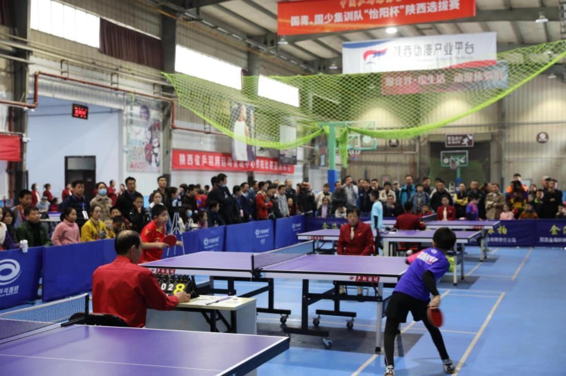 这两支西甲 这两支西甲