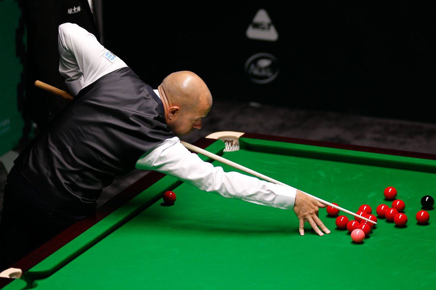 迷发表了对 迷发表了对