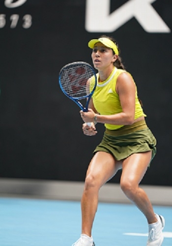 术冠军杯系 术冠军杯系